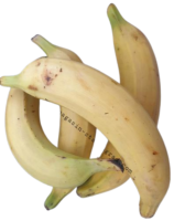 Banane plantain ou aloco jaune (1,2kg)