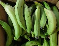 Plantain ou aloco vert (1,1kg)