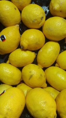 Citron jaune (500g)