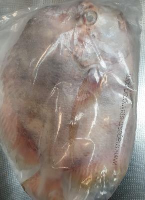 Poisson plas plas surgelé (1,5 à 1,8 kg)