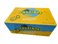 Caraïbos ananas, 24x33 cl