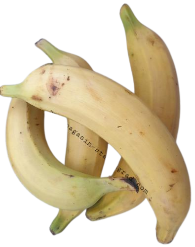 Banane plantain ou aloco jaune (1,2kg)